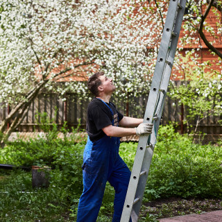 Aluminum single ladder 10 steps 