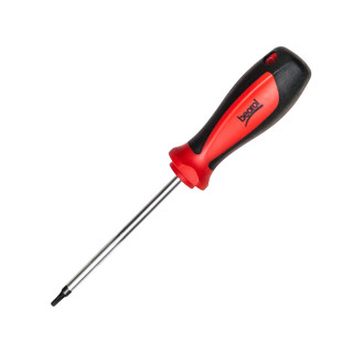 Screwdriver T10x100 