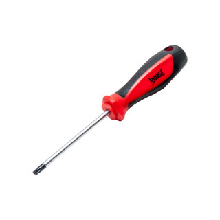 Screwdriver T30x100 