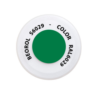 Spray paint Green Verde RAL6029 