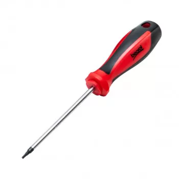 Screwdriver T10x100 