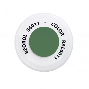 Spray paint green Reseda RAL6011 