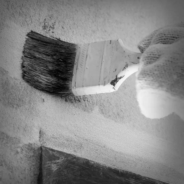 Black Professional brush 70x15 
