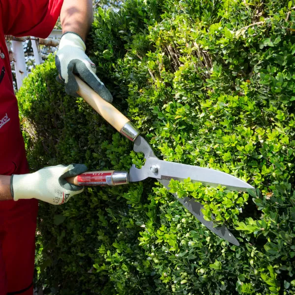 Hedge shears 