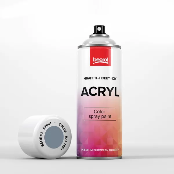 Spray paint gray Argento RAL7001 