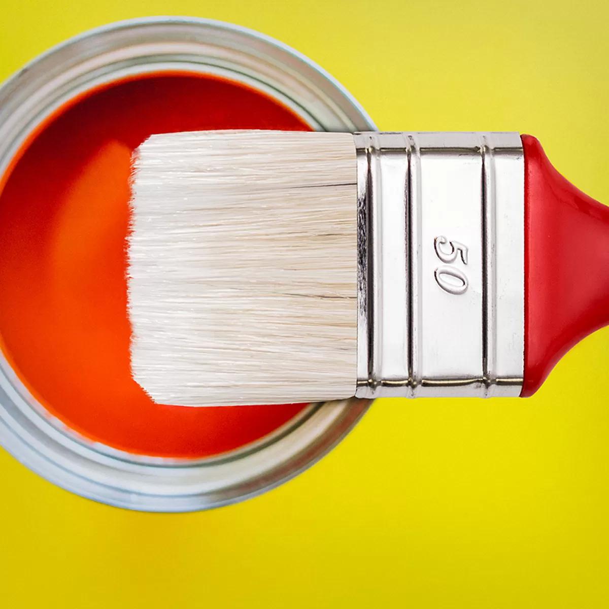 Acrylic brush 50x15 