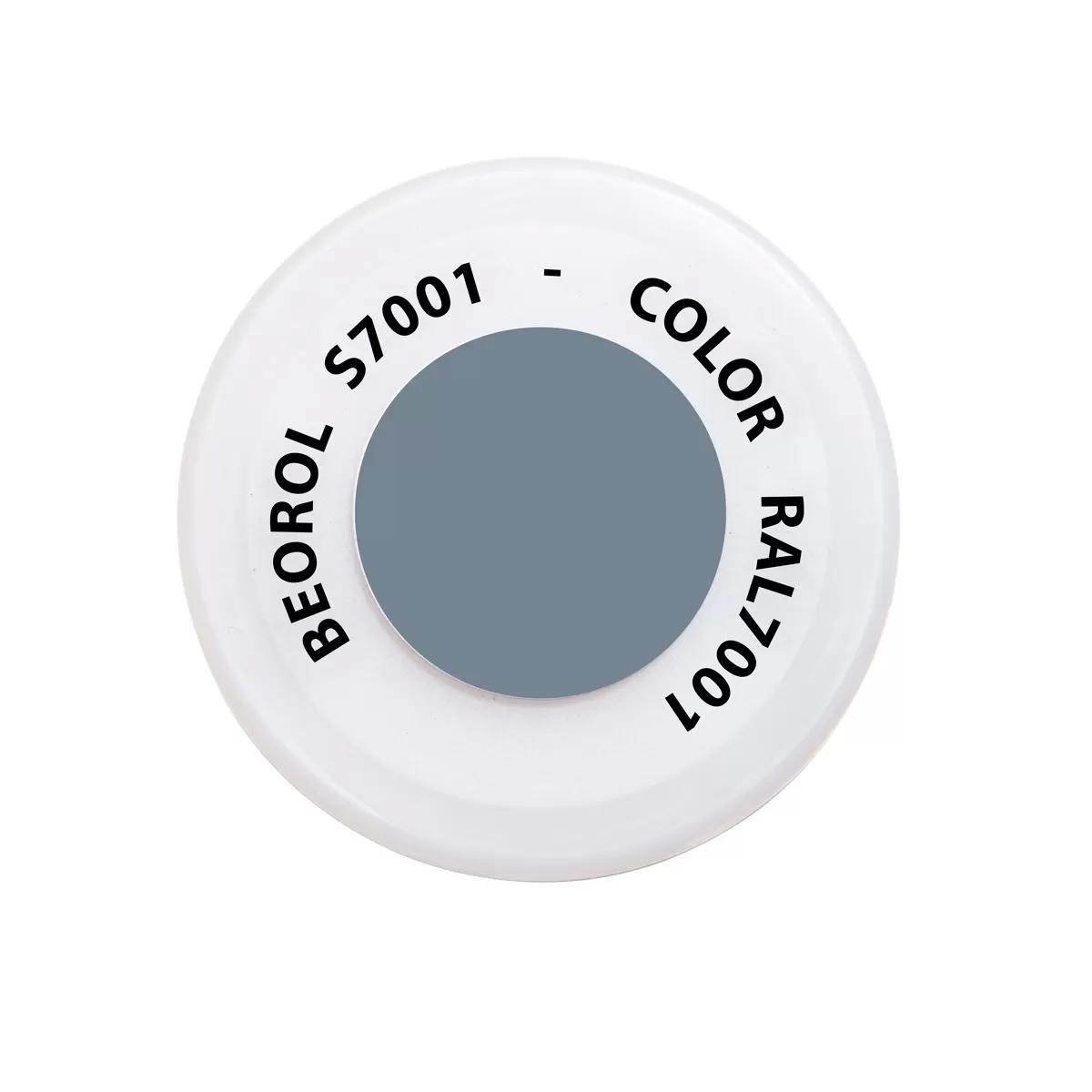 Spray paint Gray Argento RAL7001 